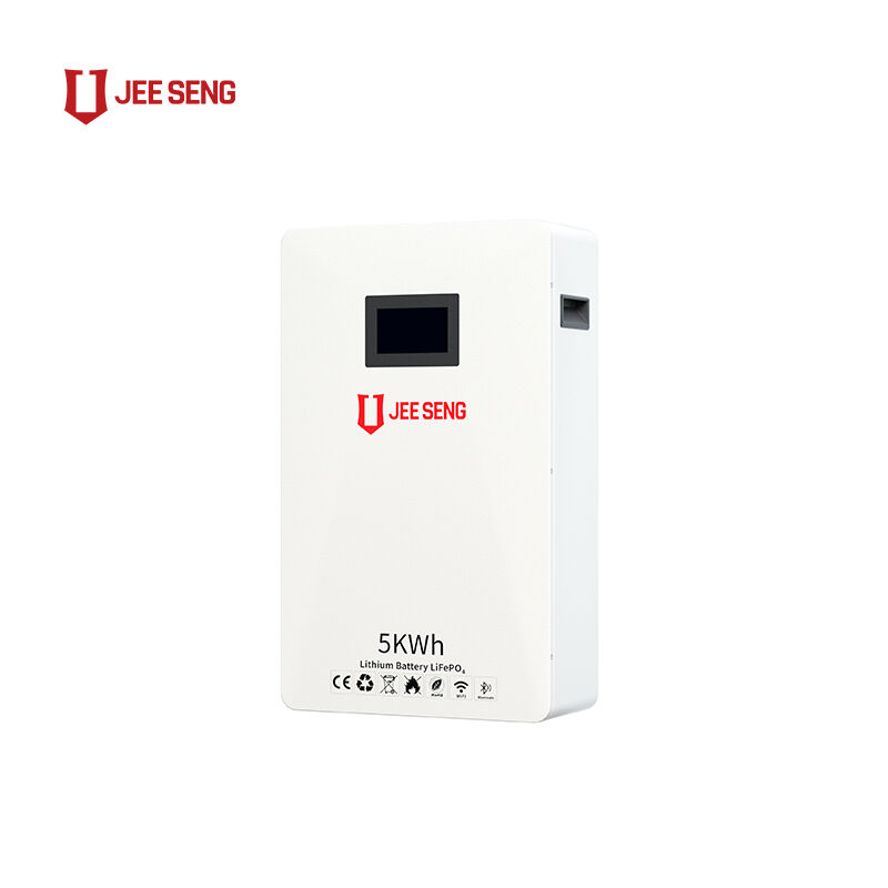 5 кВт·ч. Домашняя настенная система хранения энергии с передовой технологией BMS для солнечной энергетики